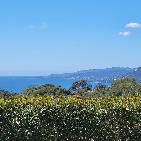 T3 Propriano Vue Mer, Neuf, Climatise Et Classe 4 Etoiles Viggianello Zewnętrze zdjęcie