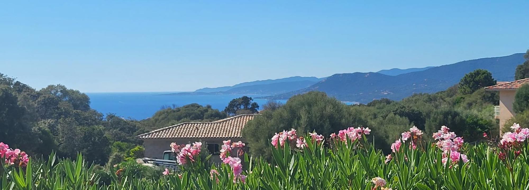 T3 Propriano Vue Mer, Neuf, Climatise Et Classe 4 Etoiles Viggianello Zewnętrze zdjęcie
